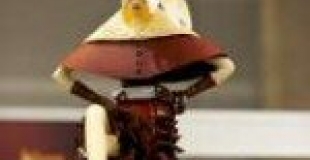 Meilleur chocolatier du monde : Shigeo Hirai, japonais