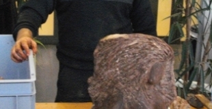 Sculpture en chocolat, en direct, par Grégory Poussier