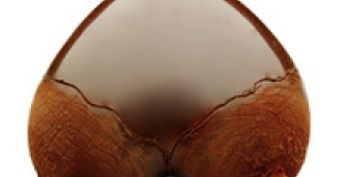 Sur la pointe des seins ! pour la Saint Valentin chez Patrick Roger