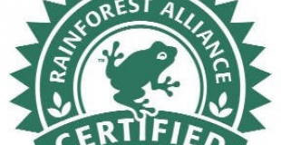 La certification du cacao pour sauvegarder la biodiversité