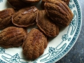 Madeleines au chocolat