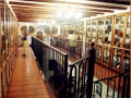 Musée du chocolat de Sueca - Espagne