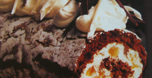 Bûche au chocolat et à l'orange