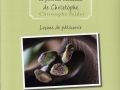 Leçons de pâtisserie Tome 2 : Les chocolats et petites bouchées de Christophe Felder